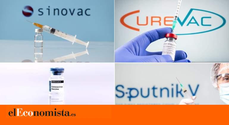 Sinovac Curevac Novavax Y Sputnik V Las Siguientes Vacunas Que Puede Aprobar La Ema Eleconomista Es