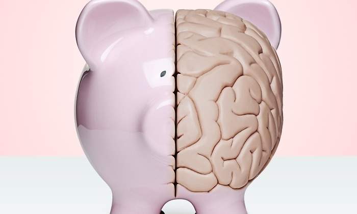 Cerdo-cerebro-Getty.jpg