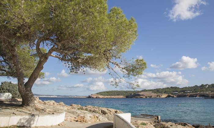 cala-bassa-ibiza-dreamstime.jpg