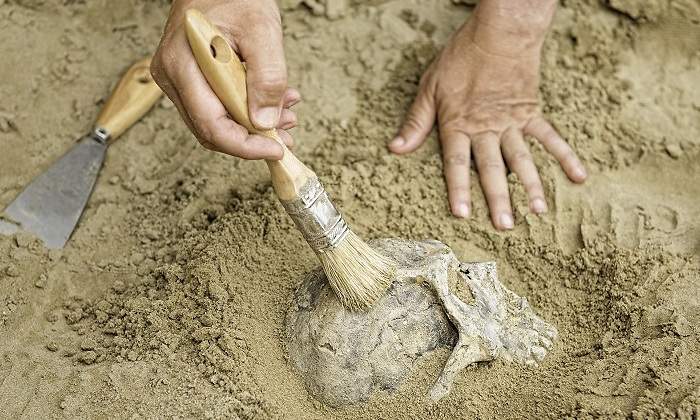 Una-persona-limpiando-la-arena-sobre-una-calavera-iStock.jpg