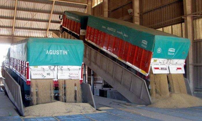 Vicentin-Reuters.jpg
