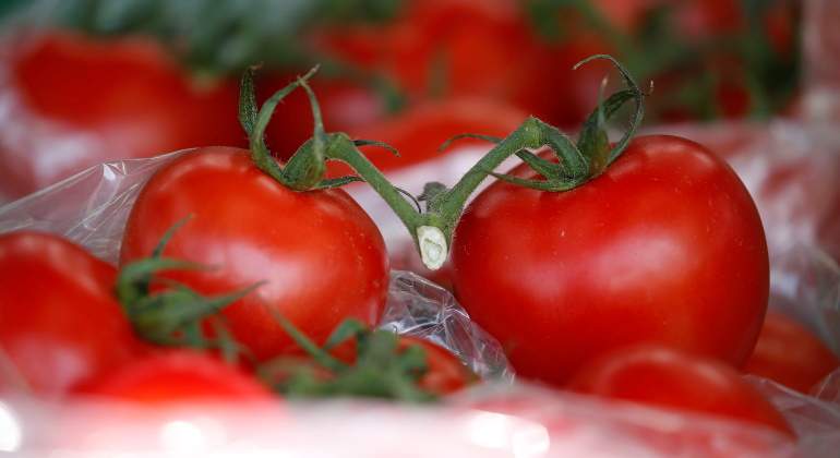 Tomates-de-exportacion-Reuters.jpg