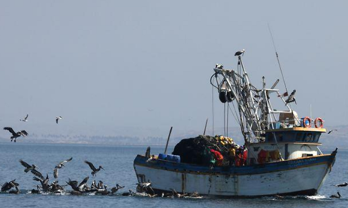 botes.harinapescado-peru-reuters.png