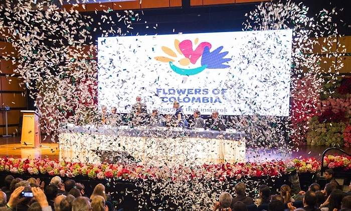 flores-de-colombia