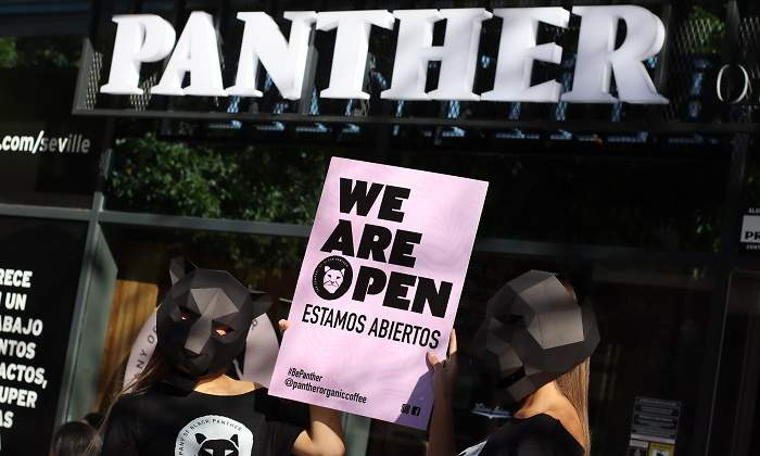 Panther Organic Coffee