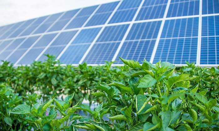 soltec-endesa.jpg