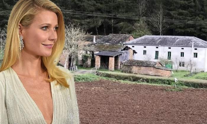 paltrow-770.jpg