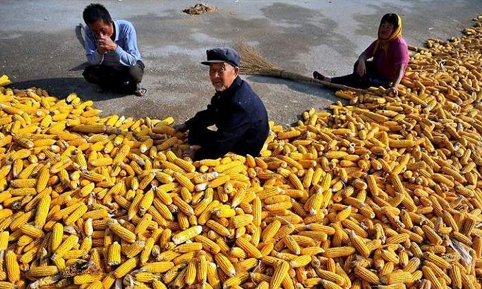 china-alimentos.jpg