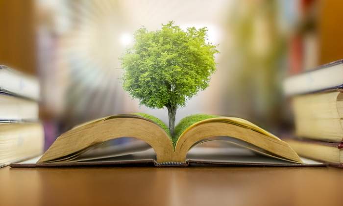 Un rbol sale de un libro abierto educacin ambiental