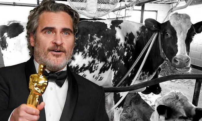 joaquin-phoenix-vacas-770.jpg