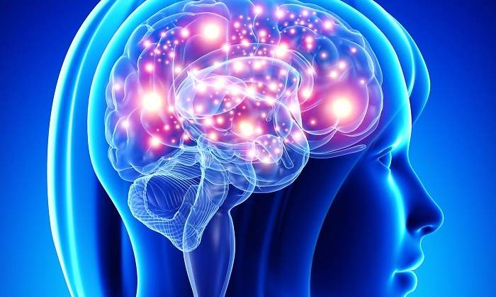 cerebro-dreamstime.jpg