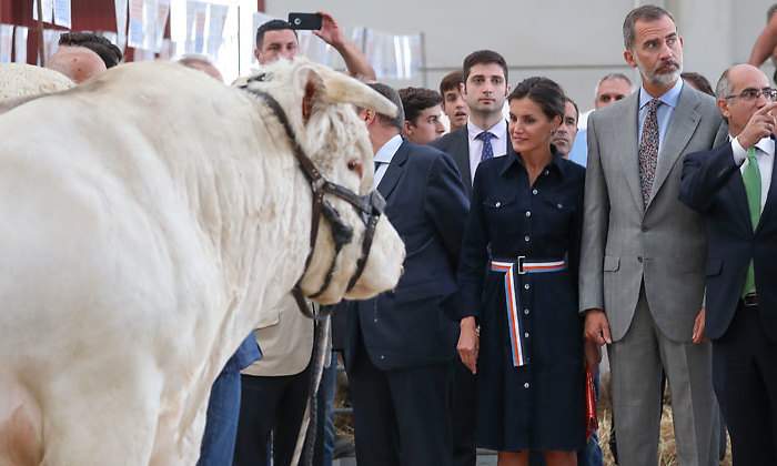 leti-vaca-770.jpg