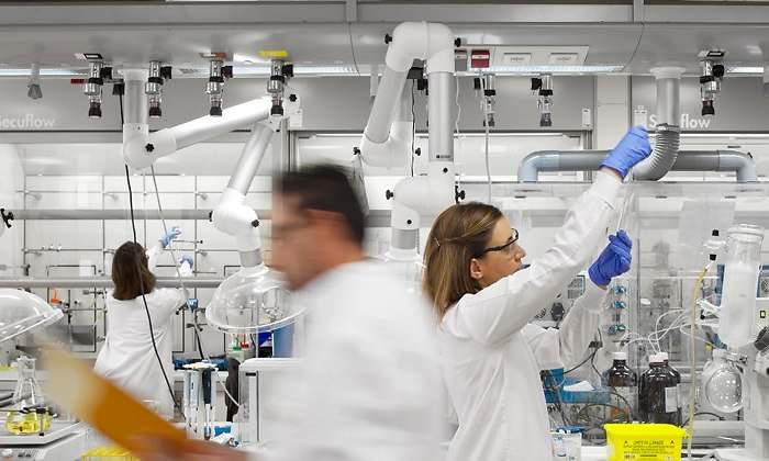 CNIO-laboratorio.jpg