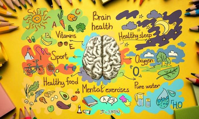 cerebro-salud-dreams.jpg