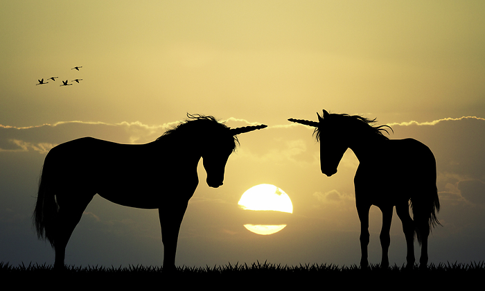 unicornios-dreamstime.png