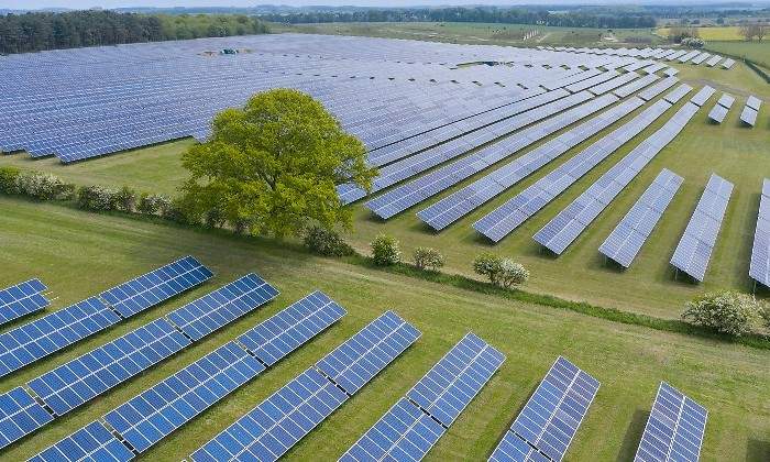 Solar-farm-bp-1.jpg
