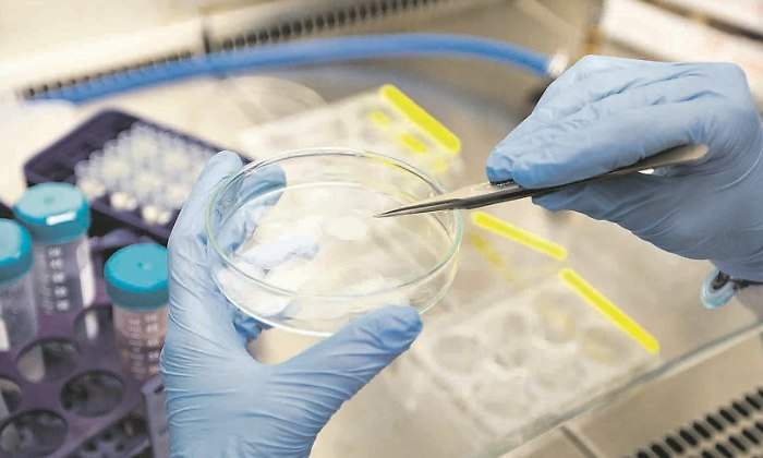 laboratorio-manos.jpg