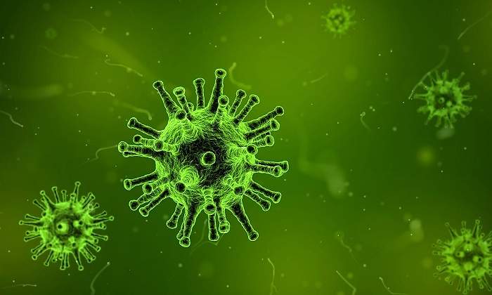Una-bacteria-en-el-organismo