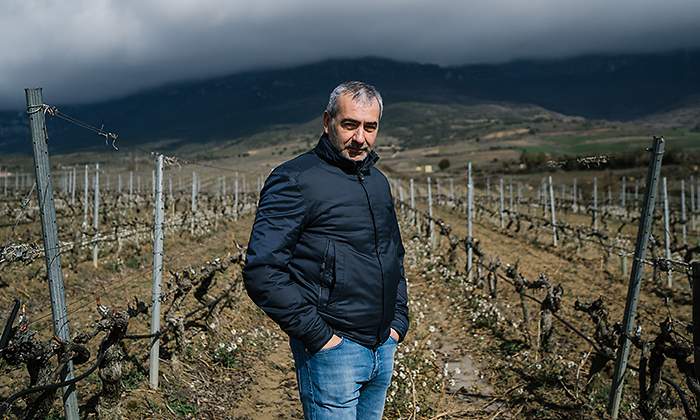 Bodega Pujanza