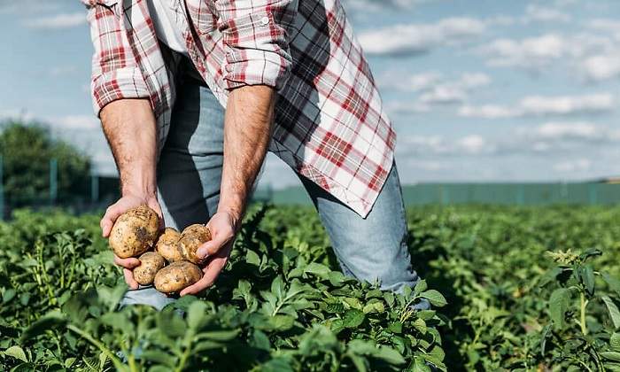 Agricultura