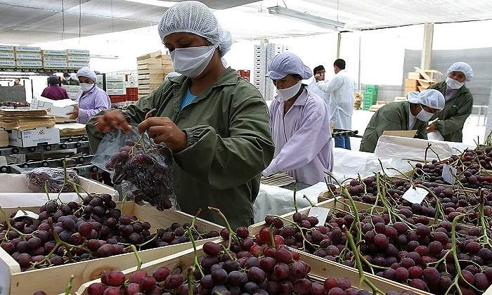 pymes_empleados770x420.jpg