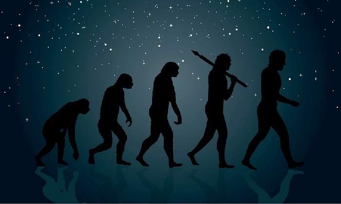 Evolucion-humana.jpg