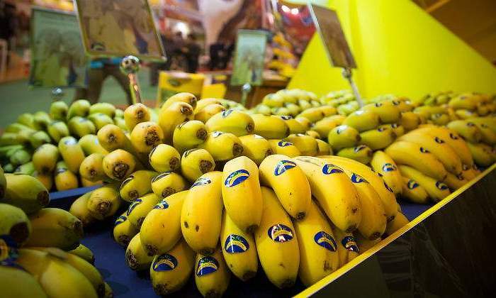platano-canarias-web.jpg