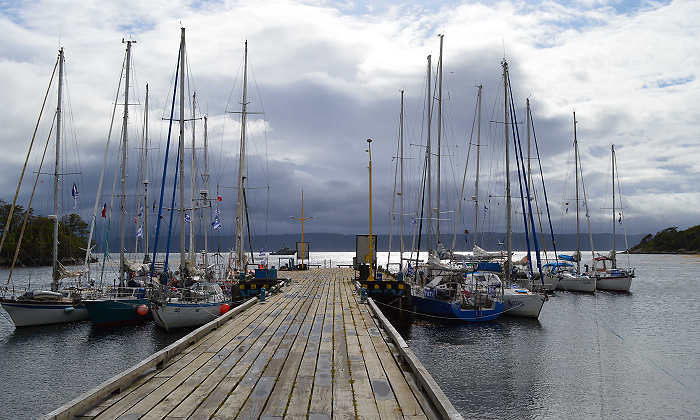 regatas-muelle-sans.png