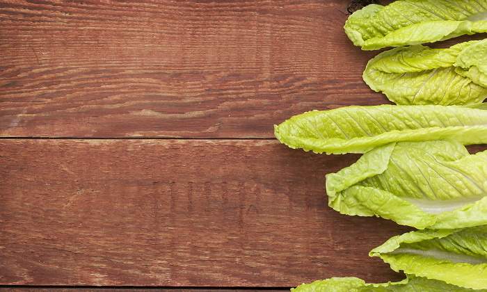lechuga-romana--1-dreamstime.jpg