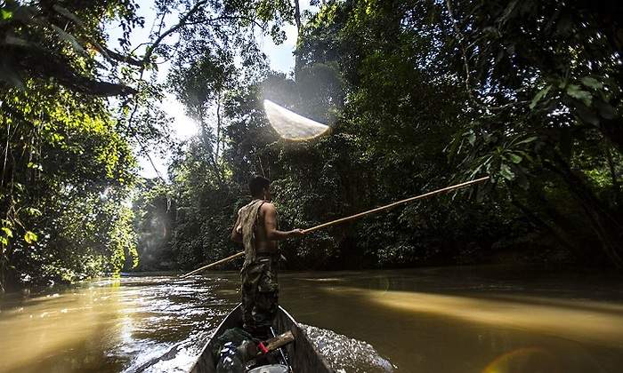 Amazonia