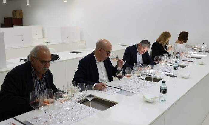 Vino-Cata-Ribera-del-Duero.jpg
