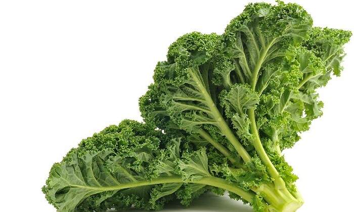 Kale.jpg