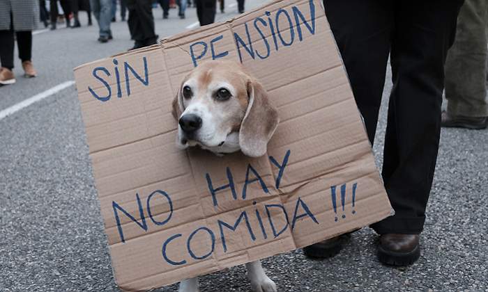 Perro-pensiones-Getty.jpg