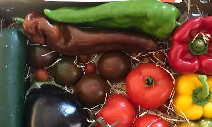 FrutasyHortalizas.jpg