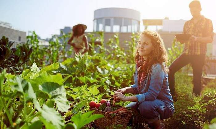 jovenesagricultores.jpg
