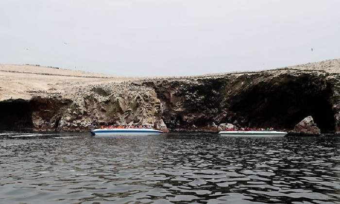 paracas770.jpg