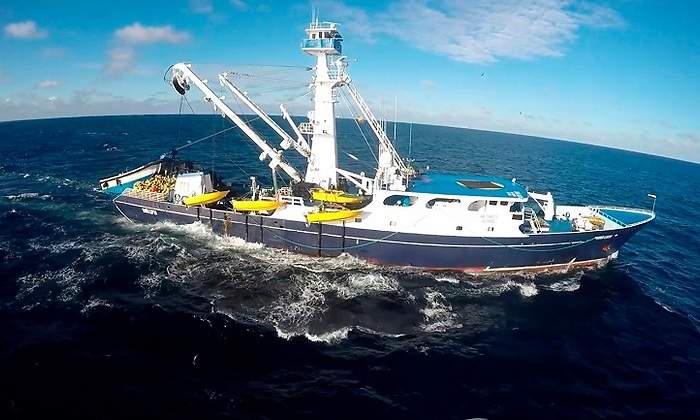 barcoextranjero770.jpg