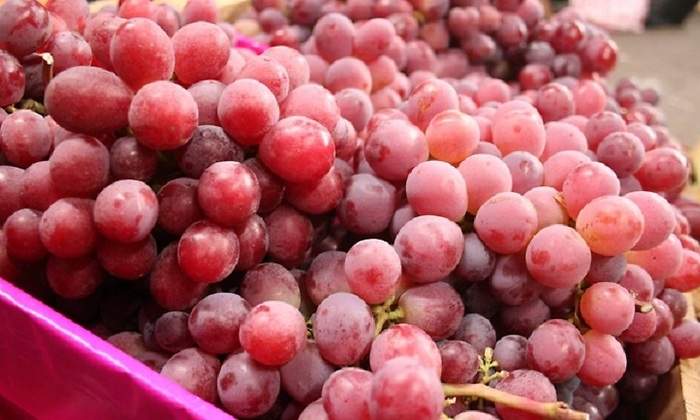 uvas770.jpg