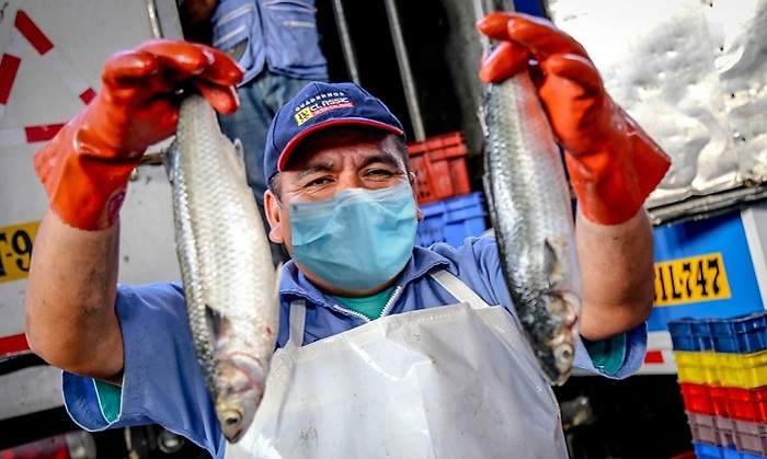 pesca_sanipes.jpg