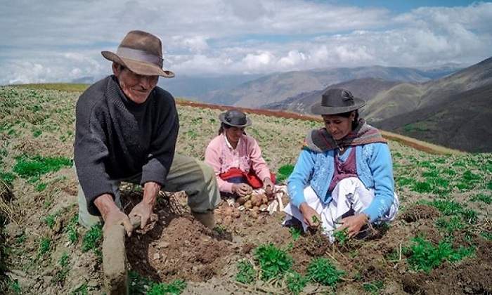 agricultura_agro.jpg
