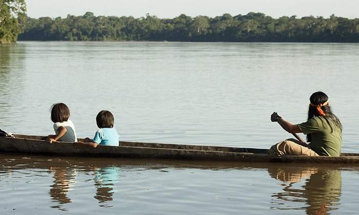 amazonia.jpg