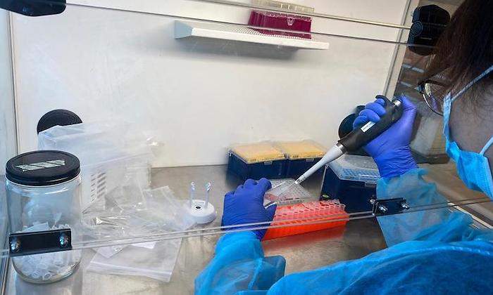 lab.jpg