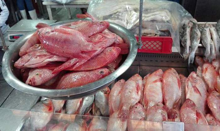 pescado.jpg