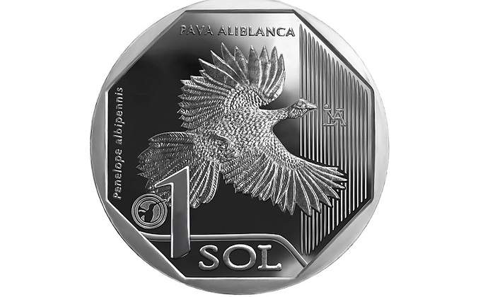 Pava-Aliblanca-reverso.jpg