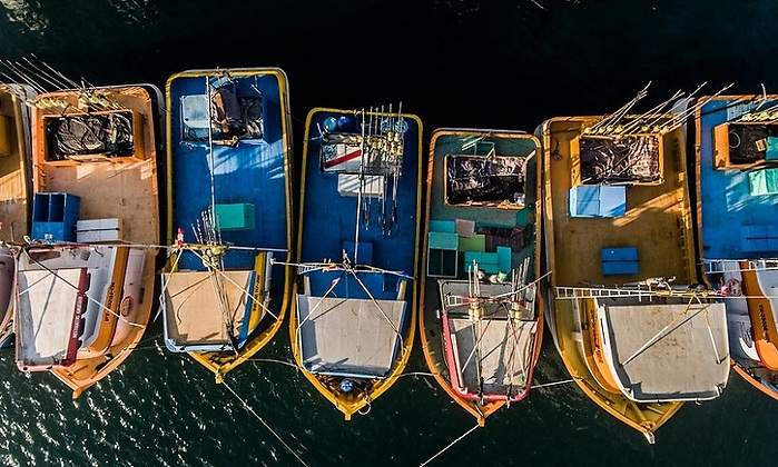 barcos.jpg
