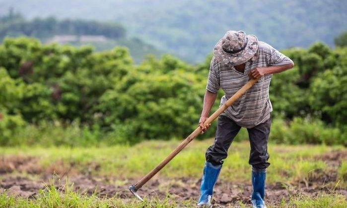 agricultura