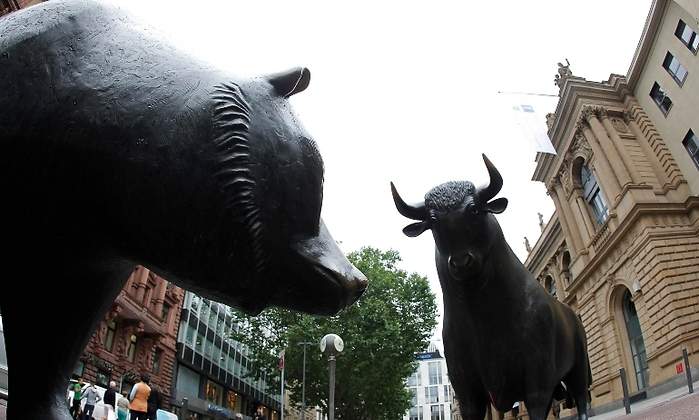 toro-oso-bolsa.jpg