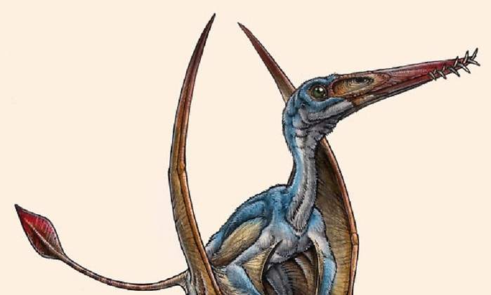 DinoArgentino770.jpg
