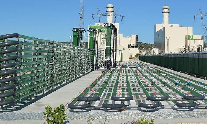 Alga-energy.jpg