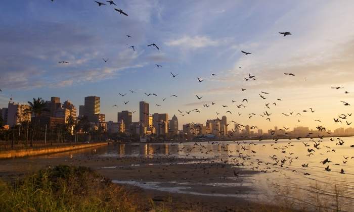 SudafricaDurbanfoton770x420.jpg